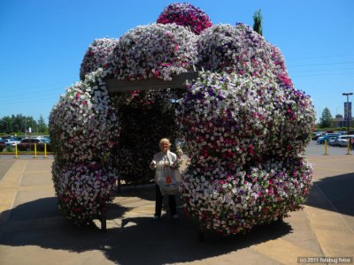 Carol In Floral Cage