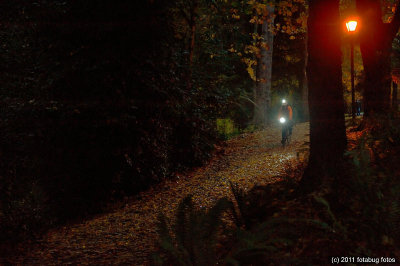 Biking Through The Park In The Dark