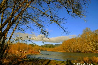 Oregon's Beautiful McKenzie River