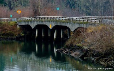 The Bridge