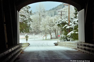 Pengra Covered Bridge