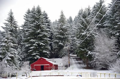 Red Barn