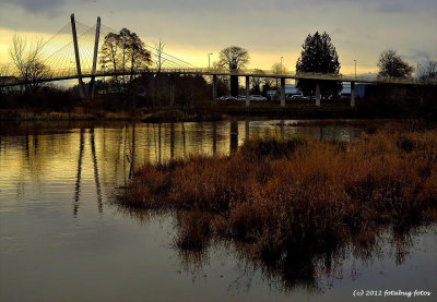 Delta Ponds Bridge in Morning Light