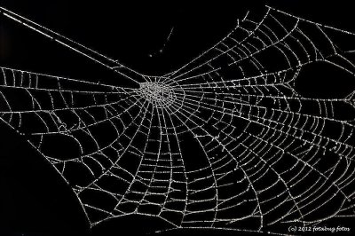 The Wonders of the Woven Web!