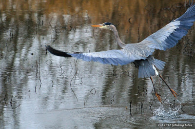 The Takeoff!