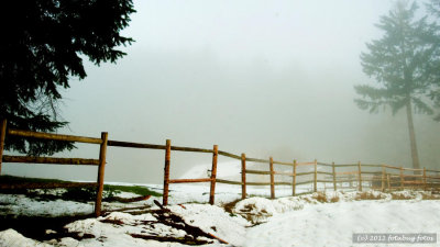 Fence and Snow