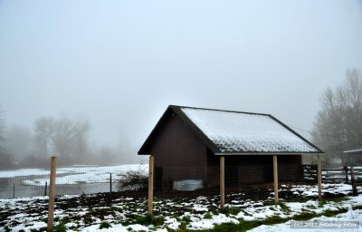 Barn In Snow