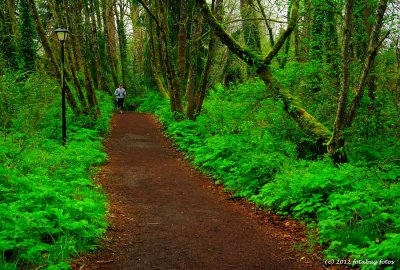 Jogging In Alton Baker Park