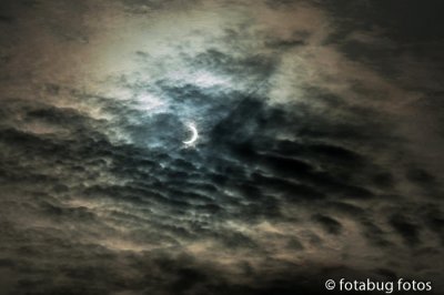 Eclipse of the Sun - Another View