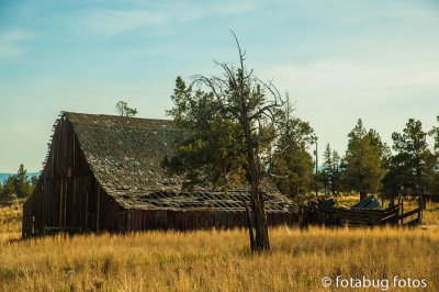 Neglected Old Barn