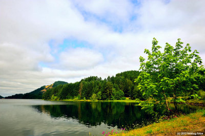 Lakeside Reflection