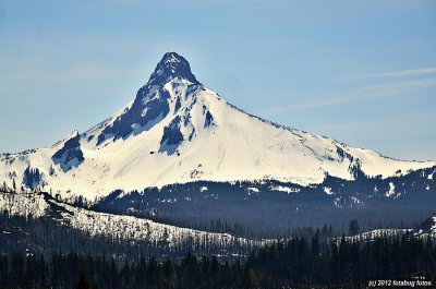 The Splendor of Mt. Washington