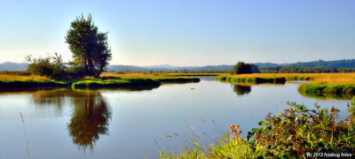 Fern Ridge Wildlife Area