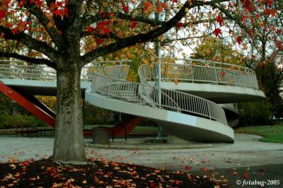 Tree and stairs