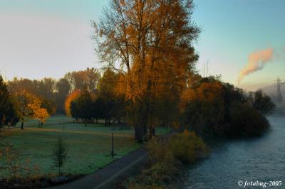 Park scene from footbridge over river