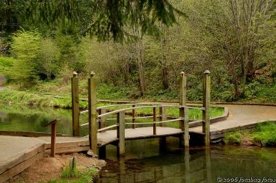 Bridge over fish viewing ponds