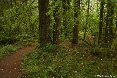 The last bend on the trail down