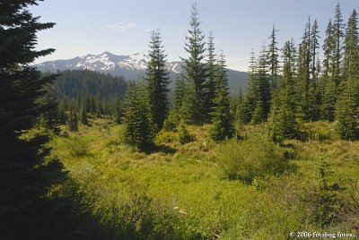 Diamond Peak in the Oregon Cascades