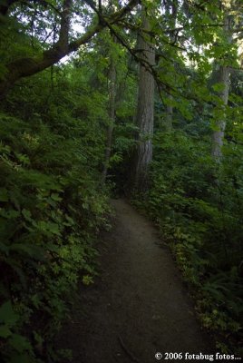 Starting out on Ridgeline Trail