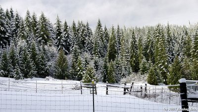 D2x2008-01-07_003.jpg