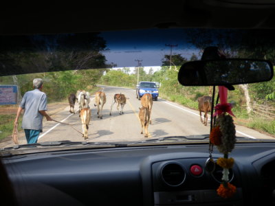 Ban Dung & Wedding