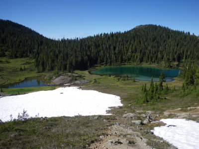 IMGP0431