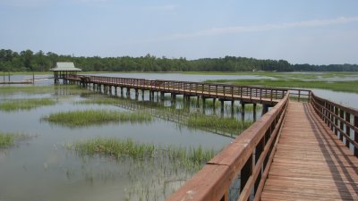 hilton_head_savannah_ride