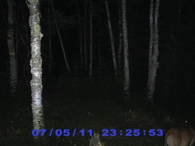 TC11-06.JPG