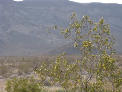 Monday, April 16, 2012