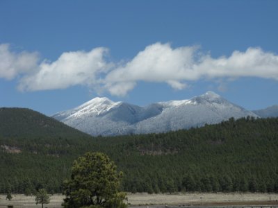 Picture 001.jpg