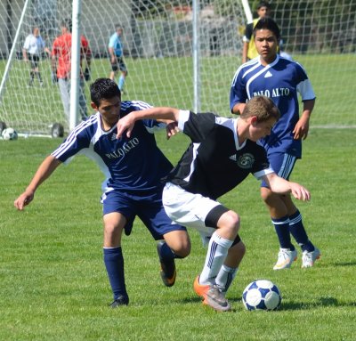 DSC_2710_335.JPG