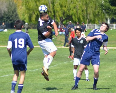 DSC_2734_348.JPG