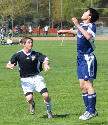 DSC_2738_350.JPG