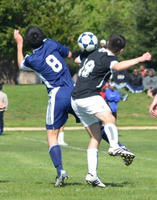 DSC_2817_381.JPG