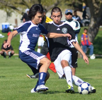 DSC_2824_385.JPG