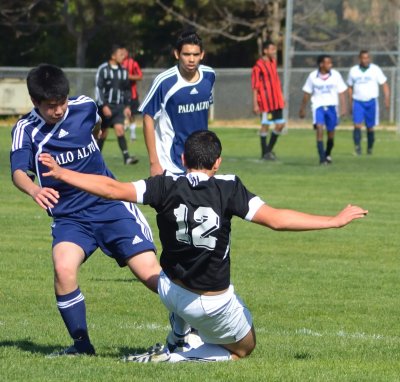 DSC_2854_399.JPG