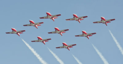 Canadian Snowbirds