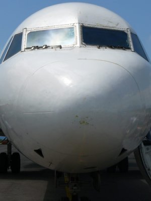 g4/66/584466/3/65345588.YVizJhwC.jpg