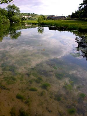 West Farm pond