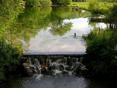 West Farm pond (II)