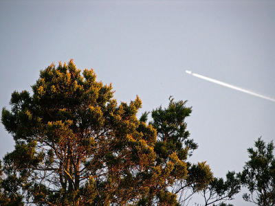 Leaving on a jet-plane (I)