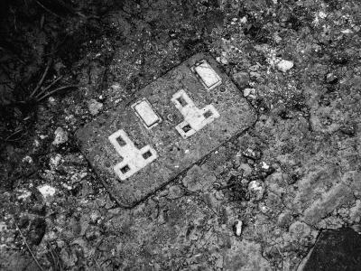 Socket to me!18 June 2006 (275)