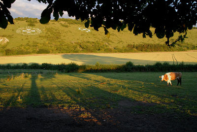 Long shadows...