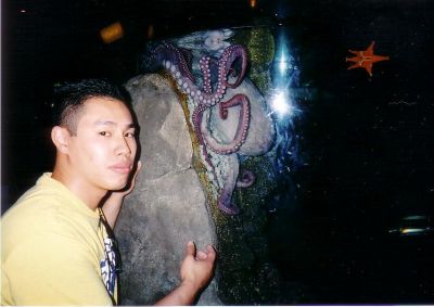 Octopus.jpg