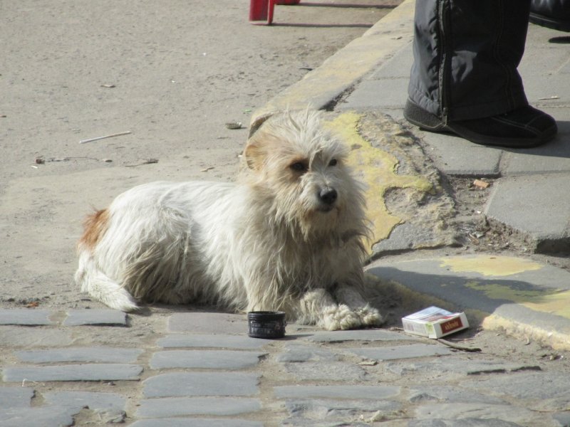 a tired shopper taking a cigarette break
