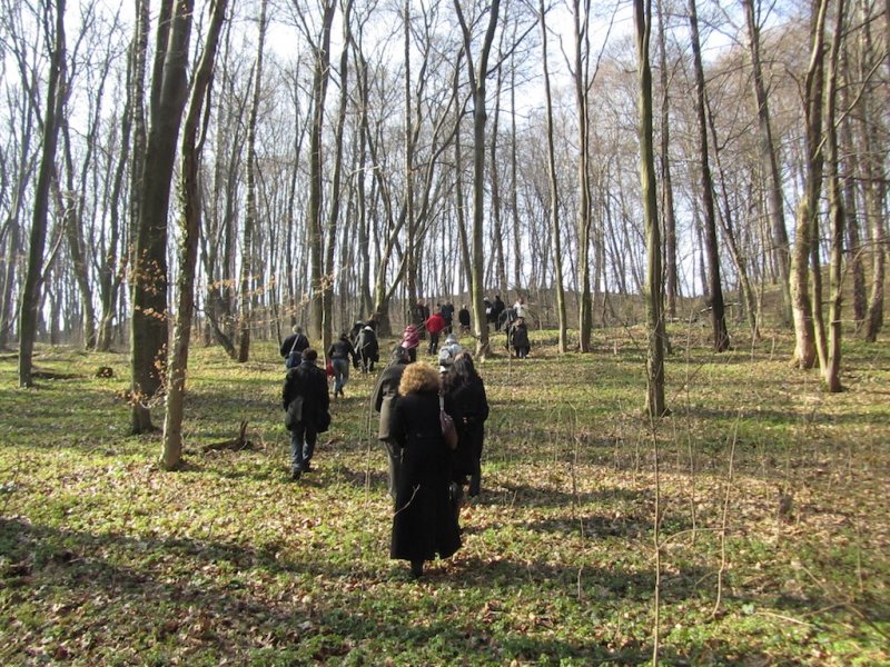 the woods are a picnic and recreation area now, ignorant of the recent past
