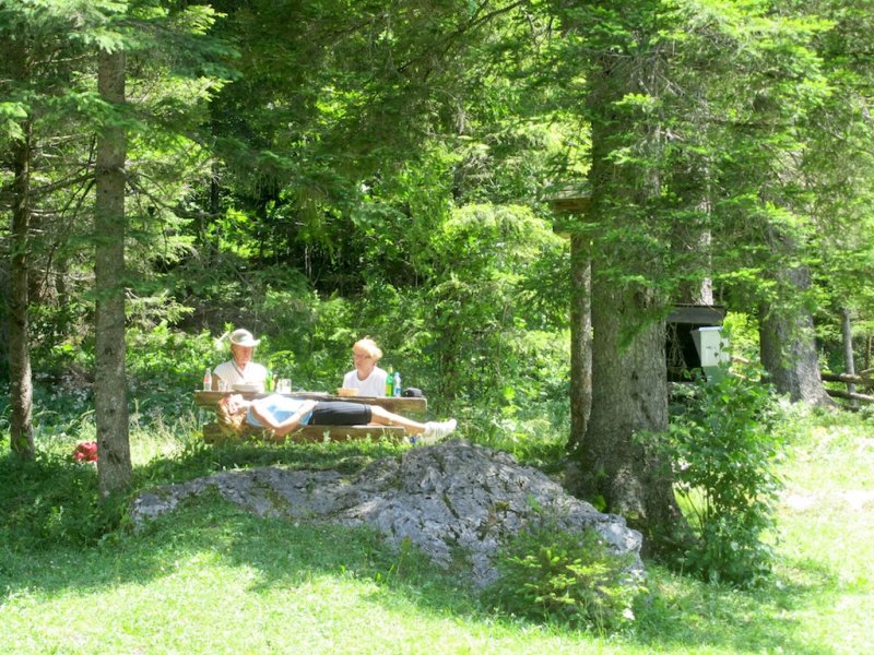 others are enjoying a nice picnic