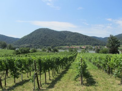 on the road from Vienna, along the Danube...