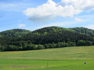 ...through the fields and forests of South Bohemia