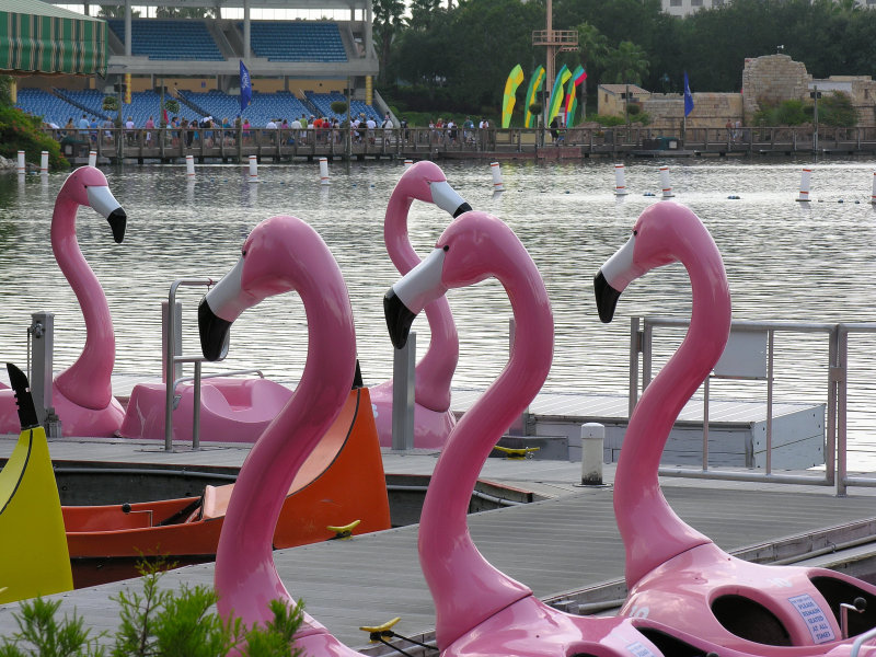 DSCN7036.jpg